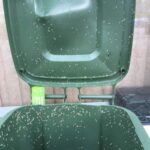 How to effectively get rid of worms in your garbage: Practical tips and prevention