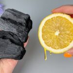 Just mix LEMON with CHARCOAL and you won’t need to spend money at the market anymore.