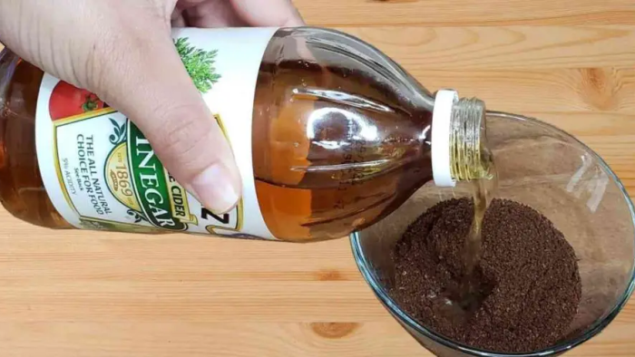 The Surprising Benefits of Mixing Apple Cider Vinegar and Coffee Grounds