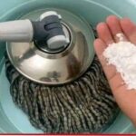 Add this to the water. Even if you don’t clean the floor for a week,