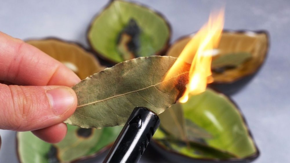 6 Things That Happen If You Burn a Bay Leaf Every Night at Home