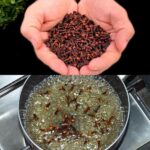 Natural Solution for Diabetes, Fatty Liver, and Joint Pain