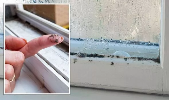 Home Hacks: Magic Tricks to Eliminate Condensation and Moisture from Your Home