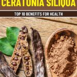 Why Carob Is the Ultimate Cocoa Substitute for Health and Flavor