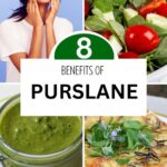 Top 8 Amazing Benefits of Purslane You Must Know