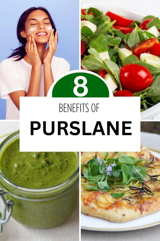Top 8 Amazing Benefits of Purslane You Must Know