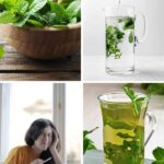 Essential Leaves for Eye Health: Nature’s Secret to Sharper Vision