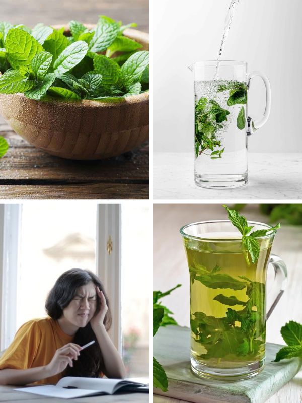 Essential Leaves for Eye Health: Nature’s Secret to Sharper Vision