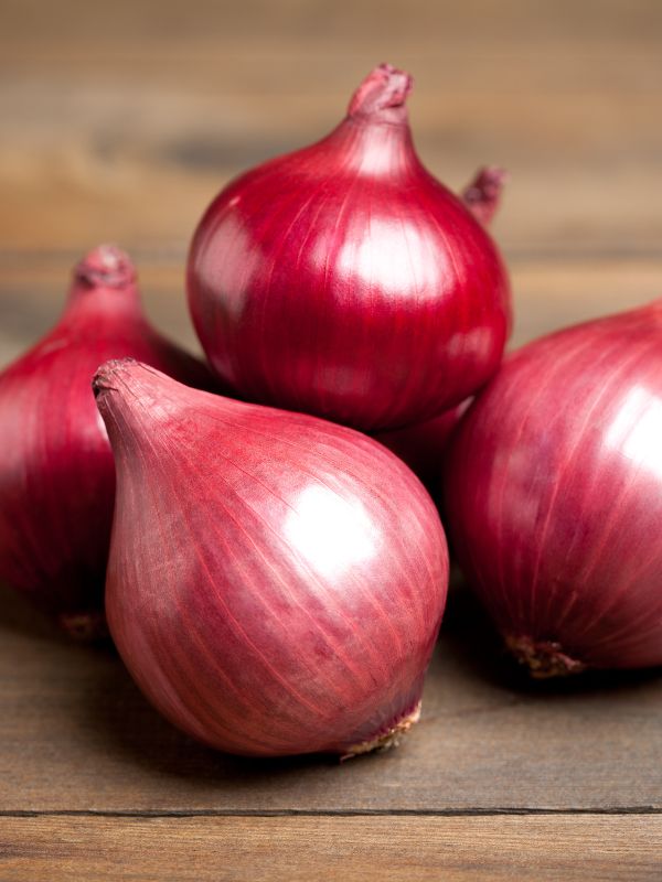 The Incredible Health Benefits of Onions (Allium cepa) for Your Bladder and Prostate