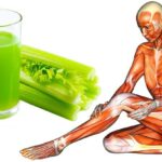 I drank celery juice for 7 days and this is what happened – no juicer required!