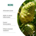 The Elixir of Life: Discover the Healing Power of Noni, Bay Leaf and Turmeric Tea