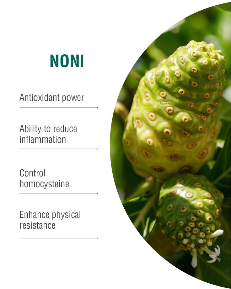 The Elixir of Life: Discover the Healing Power of Noni, Bay Leaf and Turmeric Tea