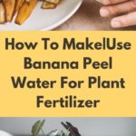 Banana Peels as a Natural Ant Repellent: A Safe and Eco-Friendly Solution