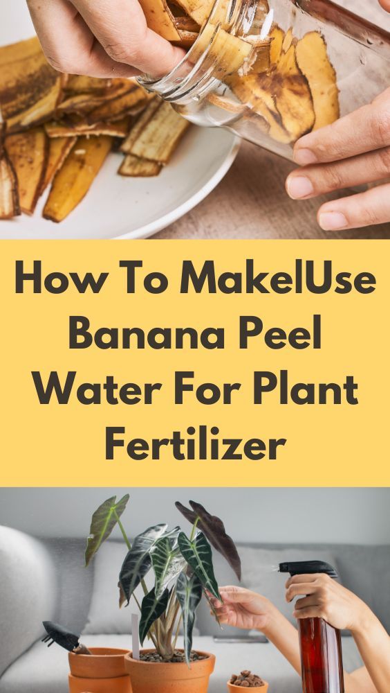 Banana Peels as a Natural Ant Repellent: A Safe and Eco-Friendly Solution