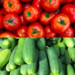 The Art of Companion Planting: Why Tomatoes and Cucumbers Don’t Get Along