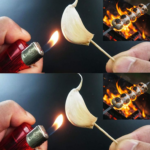 Burning a Clove of Garlic – What Happens After 15 Minutes at Home?