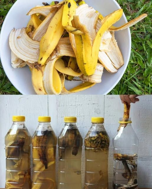 How To Make Homemade Banana Peel Fertilizer for Your Garden