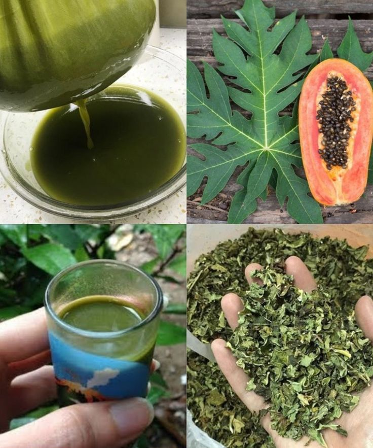 Discover the Incredible Benefits of Papaya Leaves