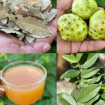 Say Goodbye to Cancer, Swollen Feet, Diabetes, and Poor Circulation with This Natural Recipe