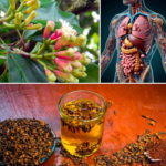 8 Surprising Benefits of Water Cloves You Probably Didn’t Know About
