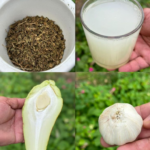 The Miracle Drink: A Natural Remedy for Pancreas, Diabetes, Liver, Poor Circulation, and More!