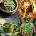 Discover the Miraculous Benefits of Moringa