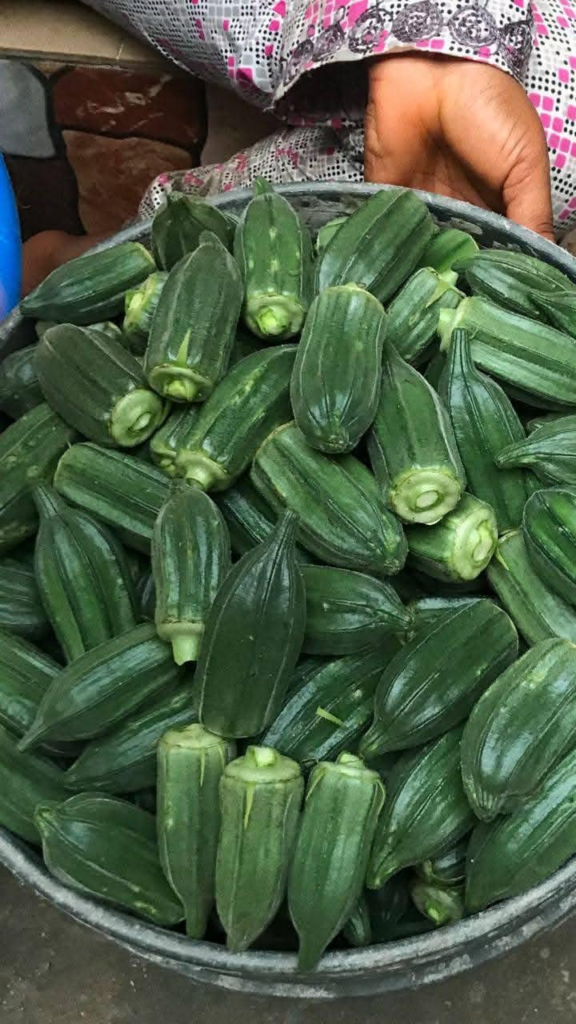 11 Reasons Why You Should Eat Okra Multiple Times a Week