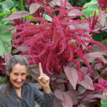 Bledo Blanco: The Superfood and Brain Oxygenator That’s Overlooked by Many