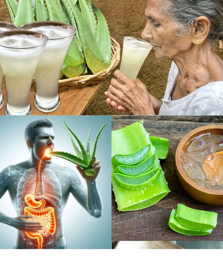 11 Amazing Reasons to Drink Aloe Vera Water Every Day 