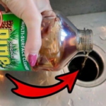 How to clean a smelly kitchen sink with Pine Sol