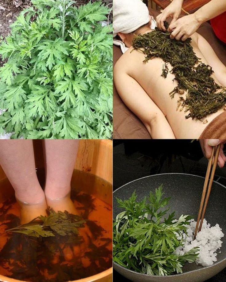 The Power of Mugwort Leaves: A Natural Remedy for Over 10 Diseases