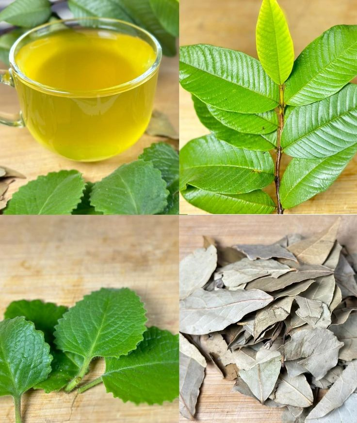 Discover the Natural Remedy for Diabetes, Poor Circulation, Fatty Liver, and More!