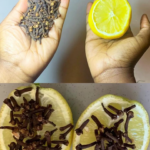 Discover the Powerful Benefits of Clove, Lemon, and Onion: A Natural Combination for Health and Home