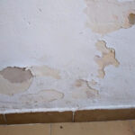 How to Fix a Wall Damaged by Saltpetre and Mold Forever