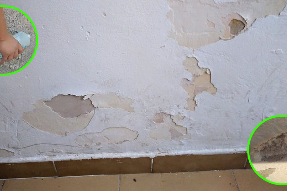 How to Fix a Wall Damaged by Saltpetre and Mold Forever