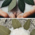 Bay leaves and salt: an ancient remedy that is worth gold