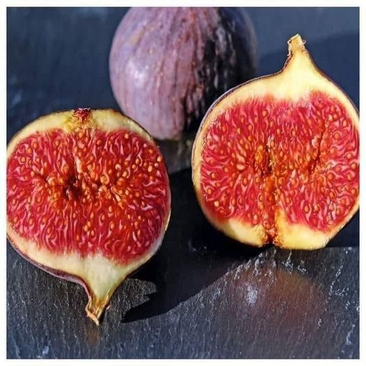 Figs Aren’t a Fruit, They’re a Flower, and They Have Insects Inside
