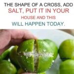 Cut 4 lemons with salt on top.