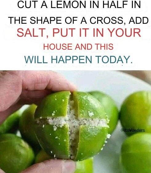 Cut 4 lemons with salt on top.
