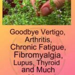 This is a real “tea from God”, because it treats arthritis, lupus, dizziness, thyroid gland and chronic fatigue.