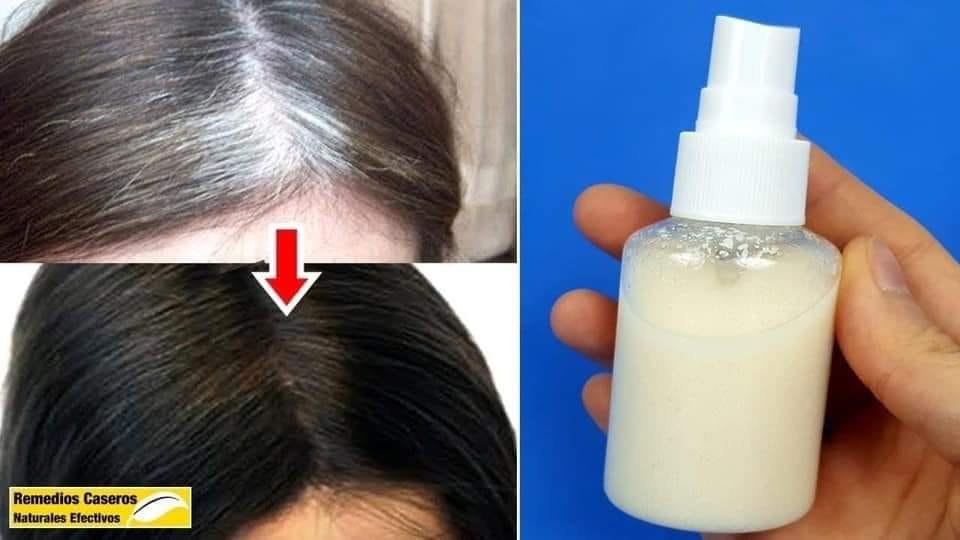 HOW TO PREPARE NATURAL RECIPES TO DYE GRAY HAIR