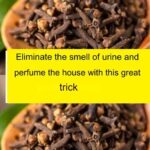 How to remove the smell of urine from the bathroom and leave a pleasant aroma?