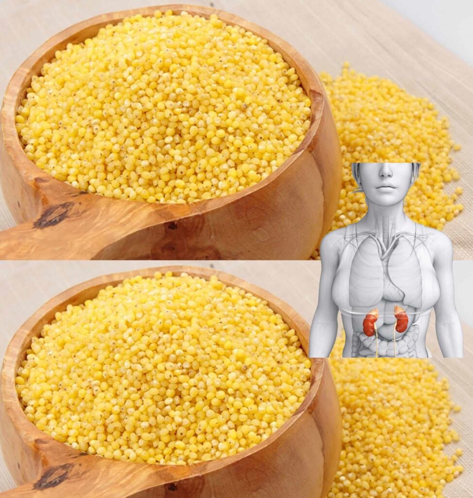 Why do doctors hide the fact that kidneys can be cured without chemistry – with millet!