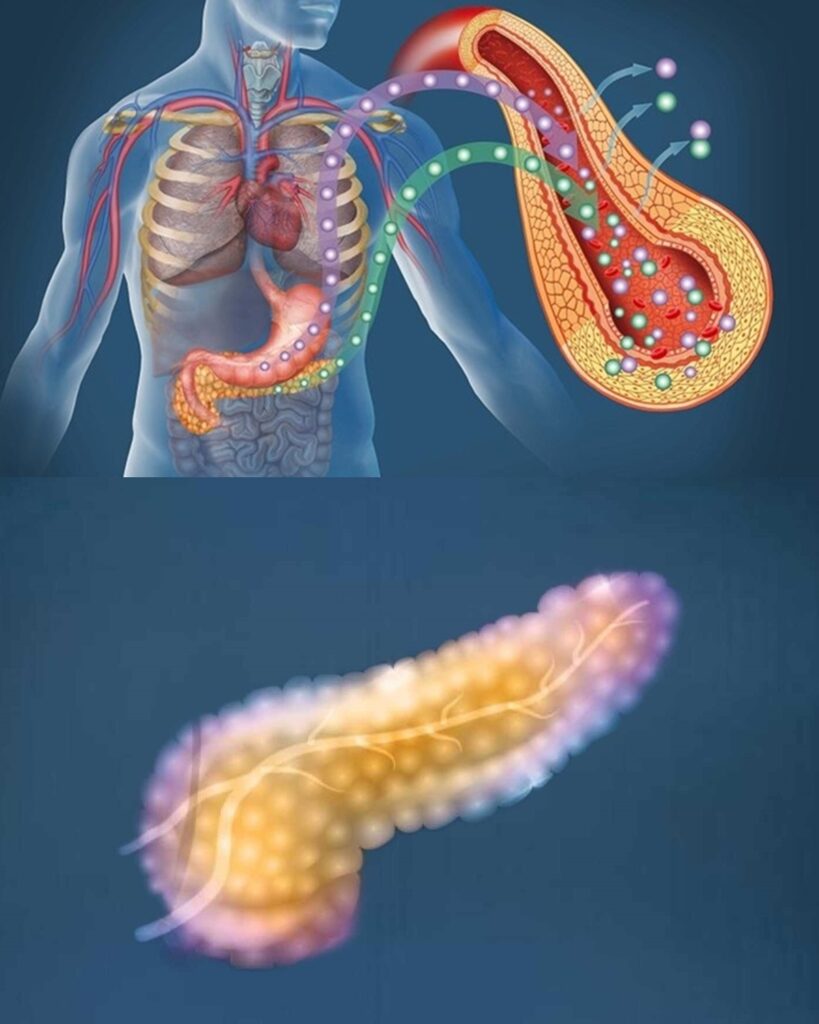 Treatment of the Pancreas Without Medication: Natural Approaches for Better Health