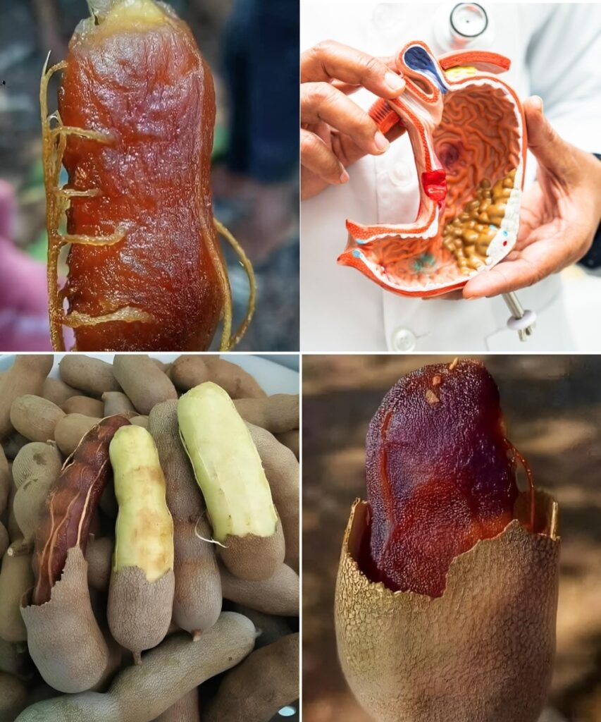 If You Know These 5 Facts, You’ll Want to Eat More Tamarind!