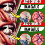 The Incredible Health Benefits of Garlic: A Detailed Exploration Backed by Research
