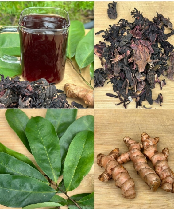 The Miracle Drink That Could Change Your Health: A Natural Remedy for Diabetes, Cancer, and High Blood Pressure