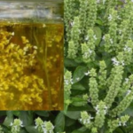 Don’t Toss Your Basil Flowers: Here Are 8 Ways to Use Them