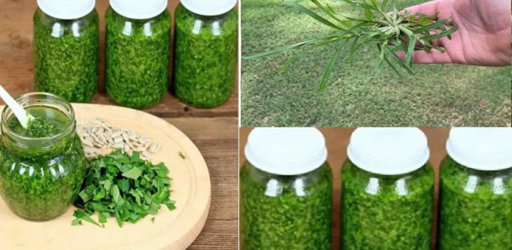 Goose Grass: 18 Benefits
