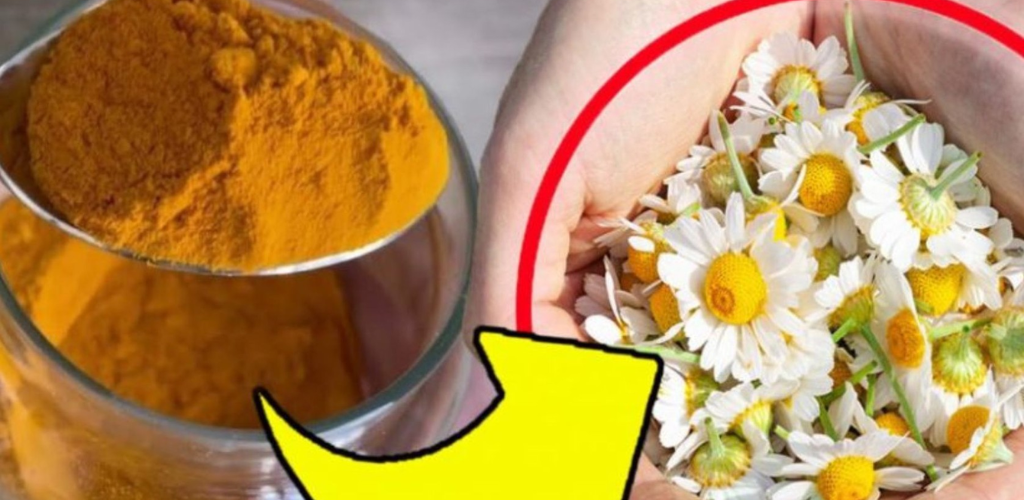 Chamomile flowers, surprising: they are “worth their weight in gold” when mixed with this ingredient!